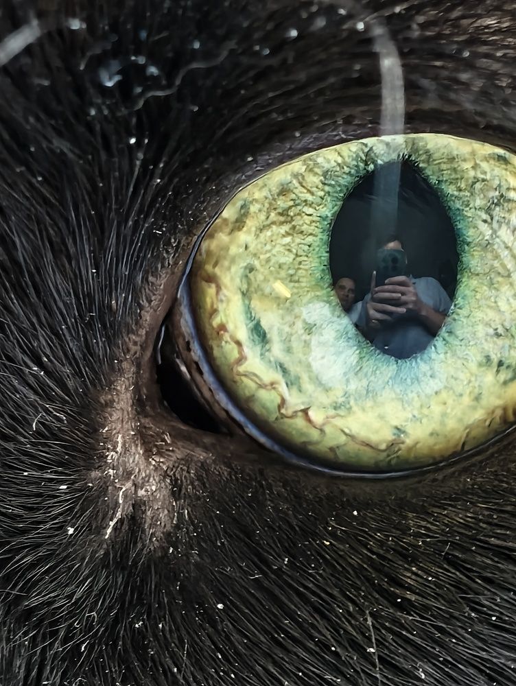 Photograph by Pavel Ivshin