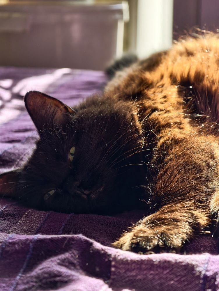 Photograph by Pavel Ivshin