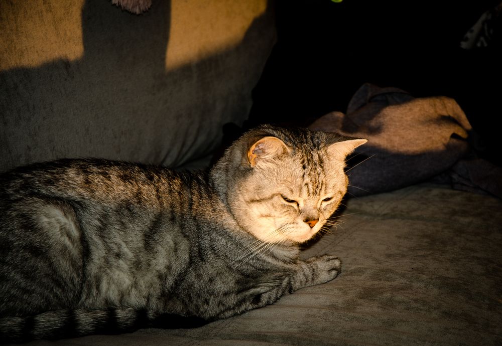 Photograph by Mishel Photographer