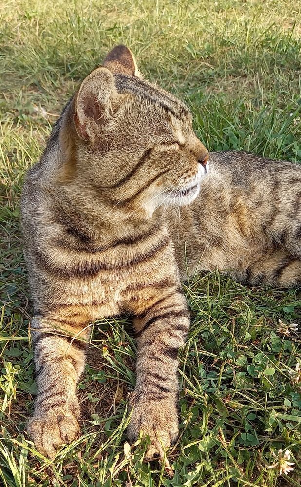 Фотография автора Марина Новикова