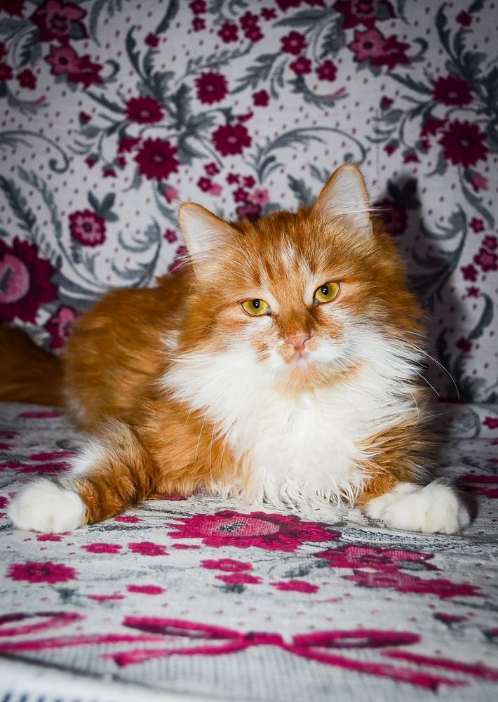 Photograph by Mishel Photographer