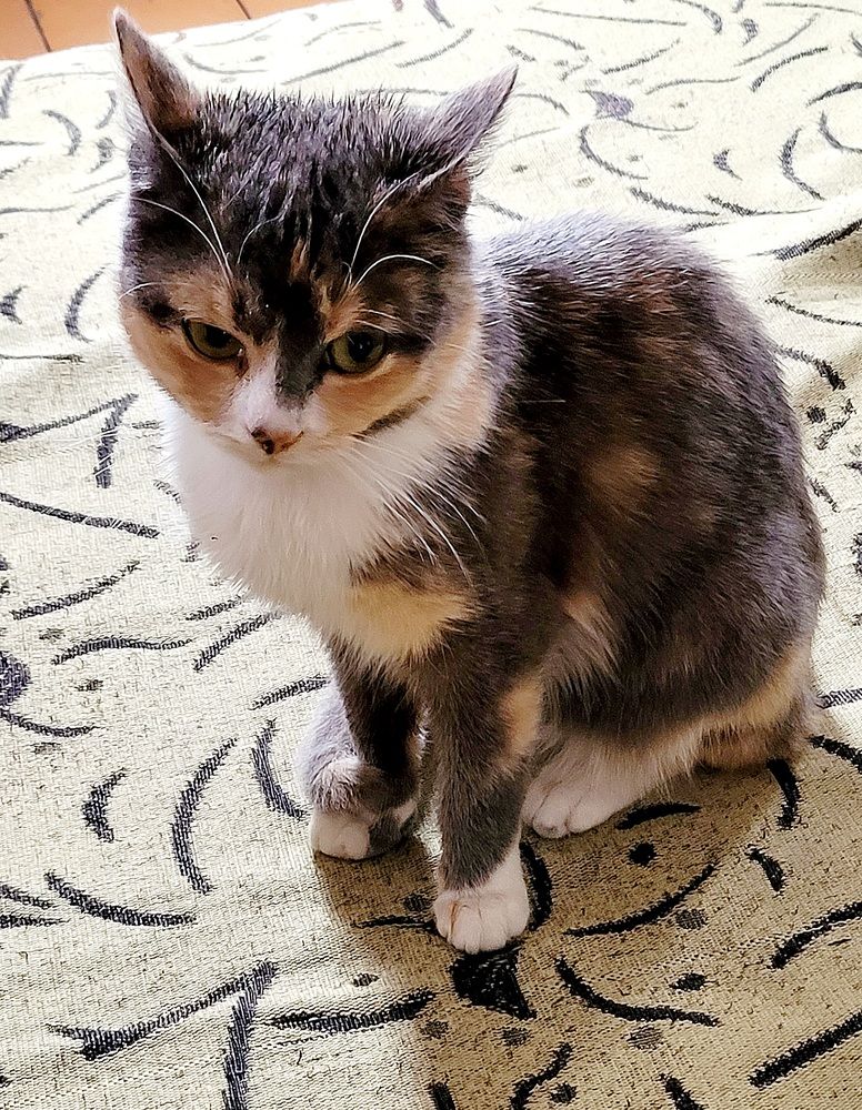 Красавица засмущалась.