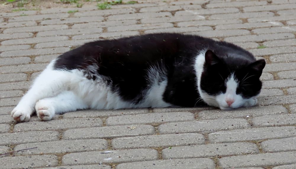 Photograph by Pjotr Alekseev