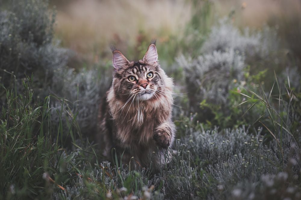 Photograph by GRISELDA FERNANDEZ