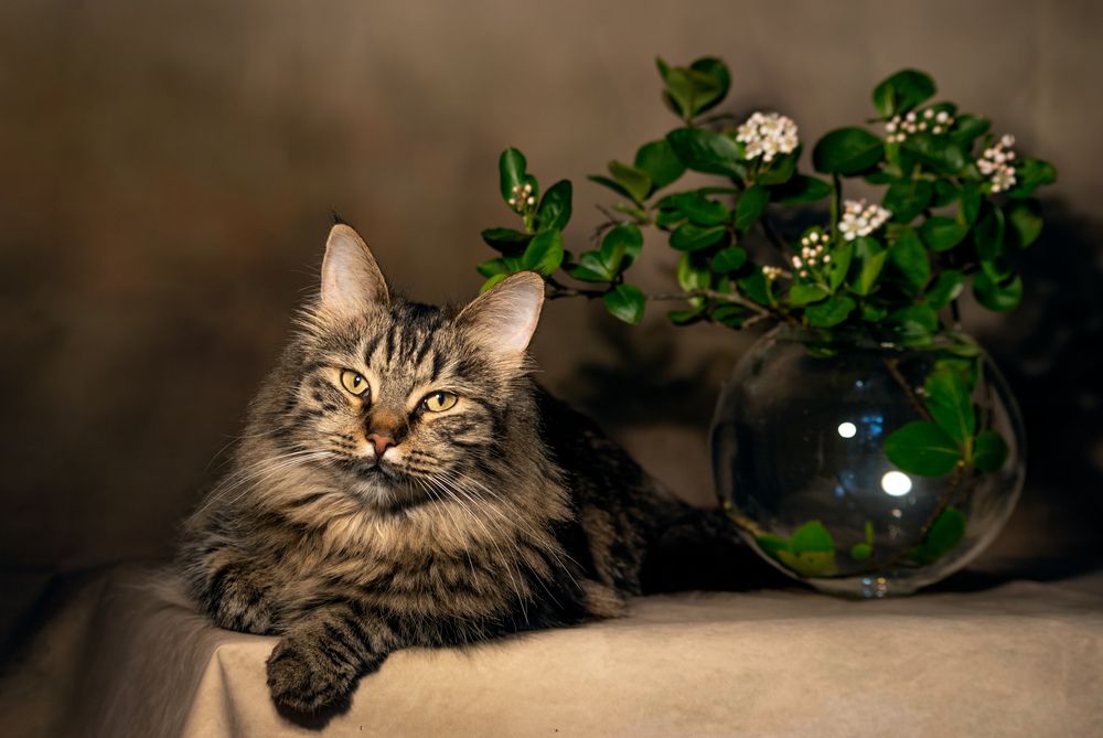 Photograph by Ольга Зинченко