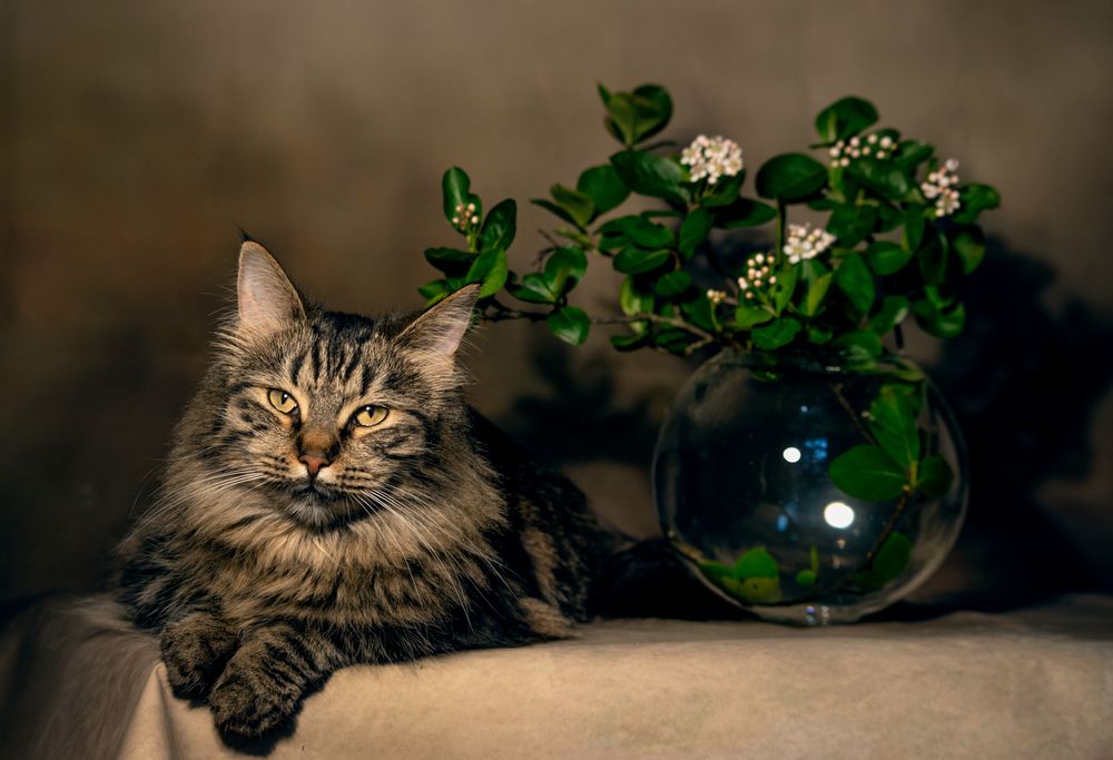 Photograph by Ольга Зинченко