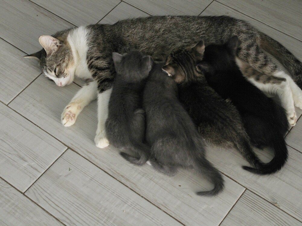 Photograph by Галина Трофимова