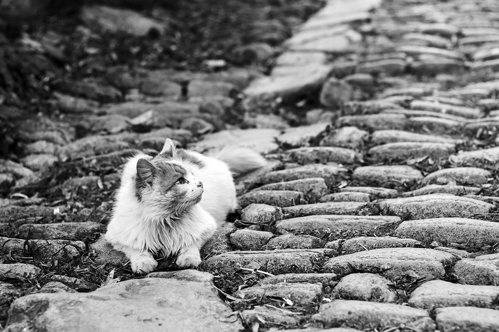 Photograph by Сергей Бумагин