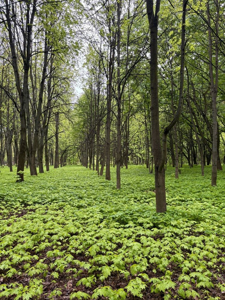 Photograph by Александр Беляев