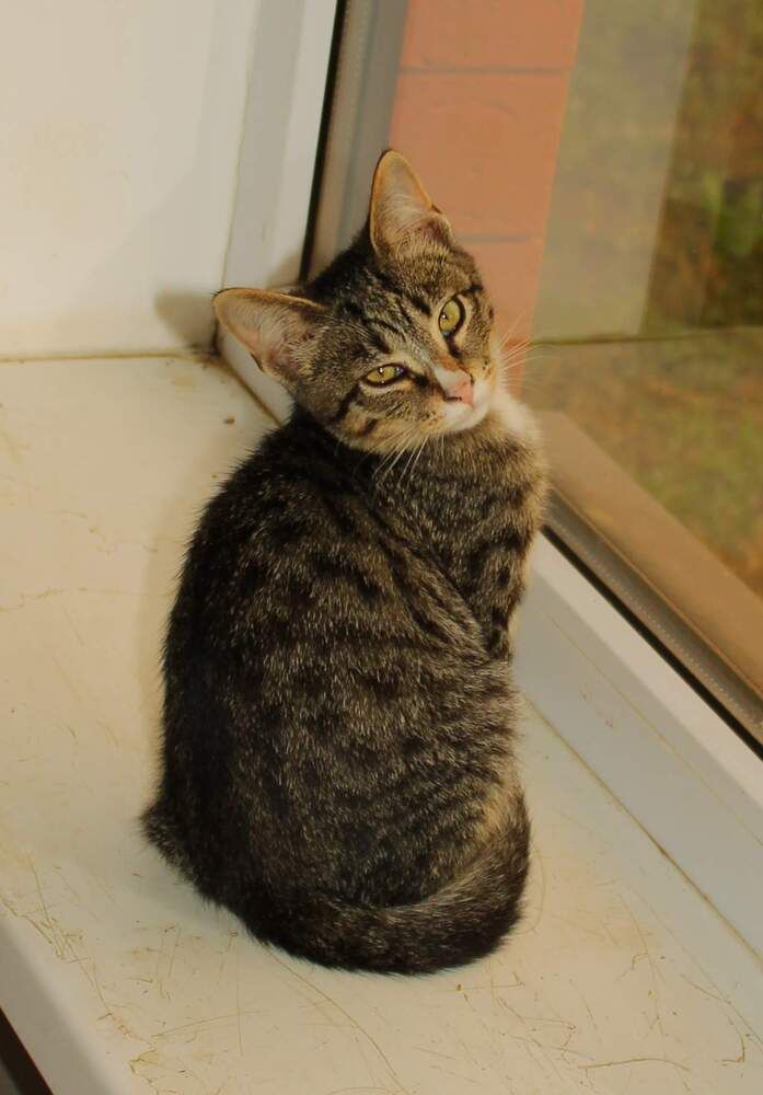 наша скромница