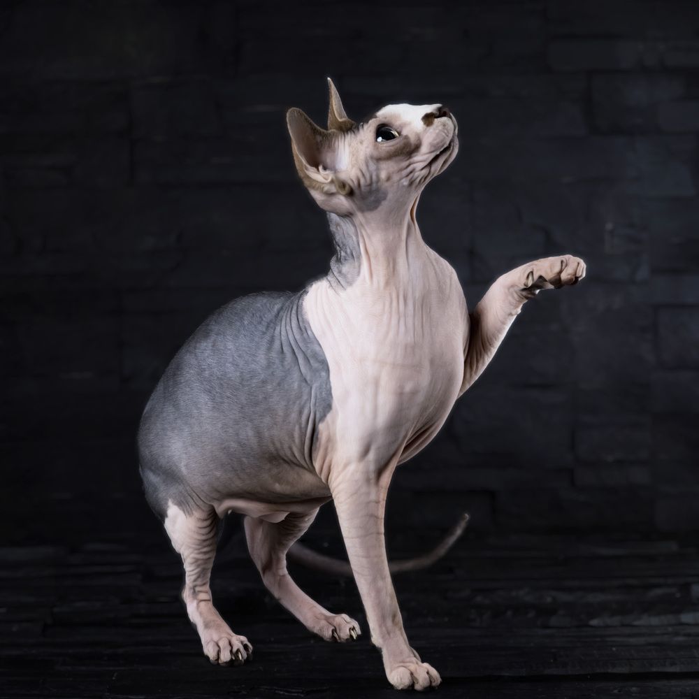 Фотография автора Igor Lukin