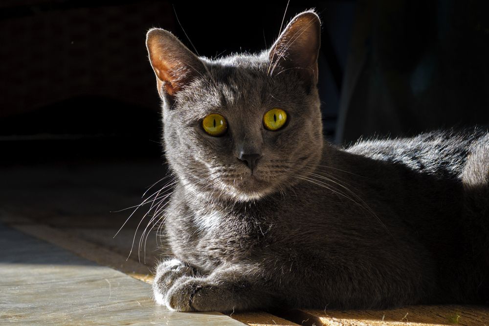 Photograph by Ластович Максим