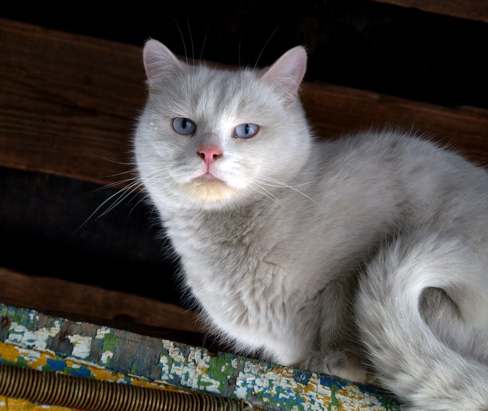 Photograph by Ластович Максим