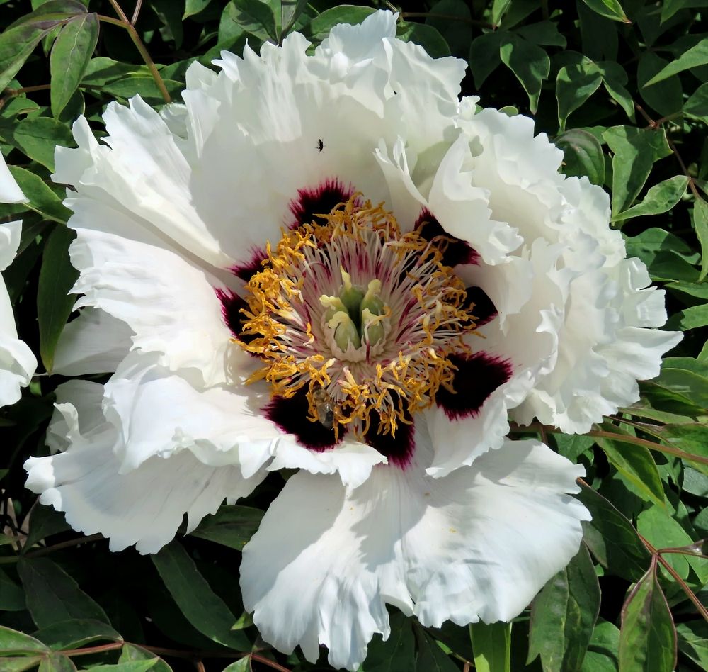 Photograph by Pjotr Alekseev