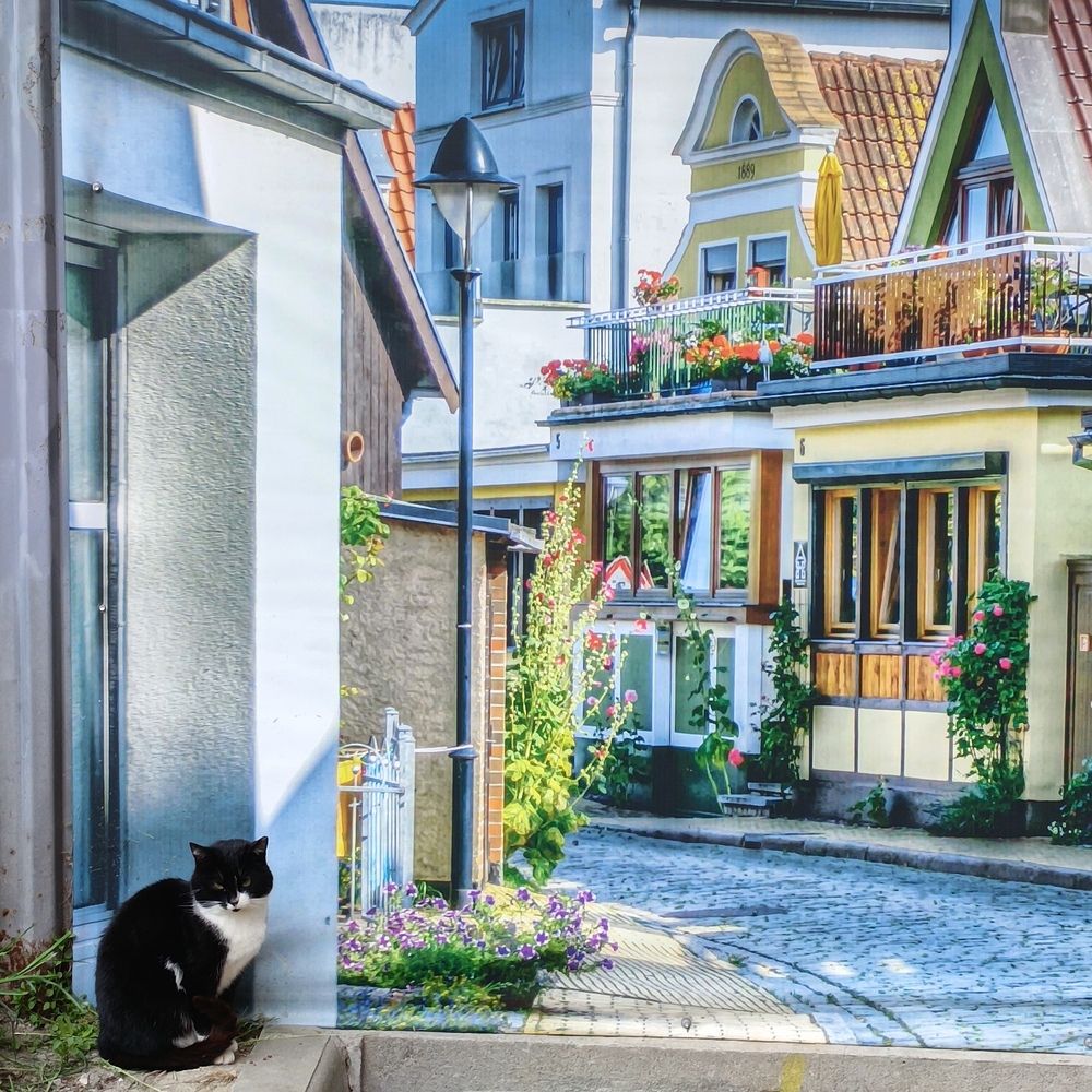 Photograph by Ирина Шведчикова