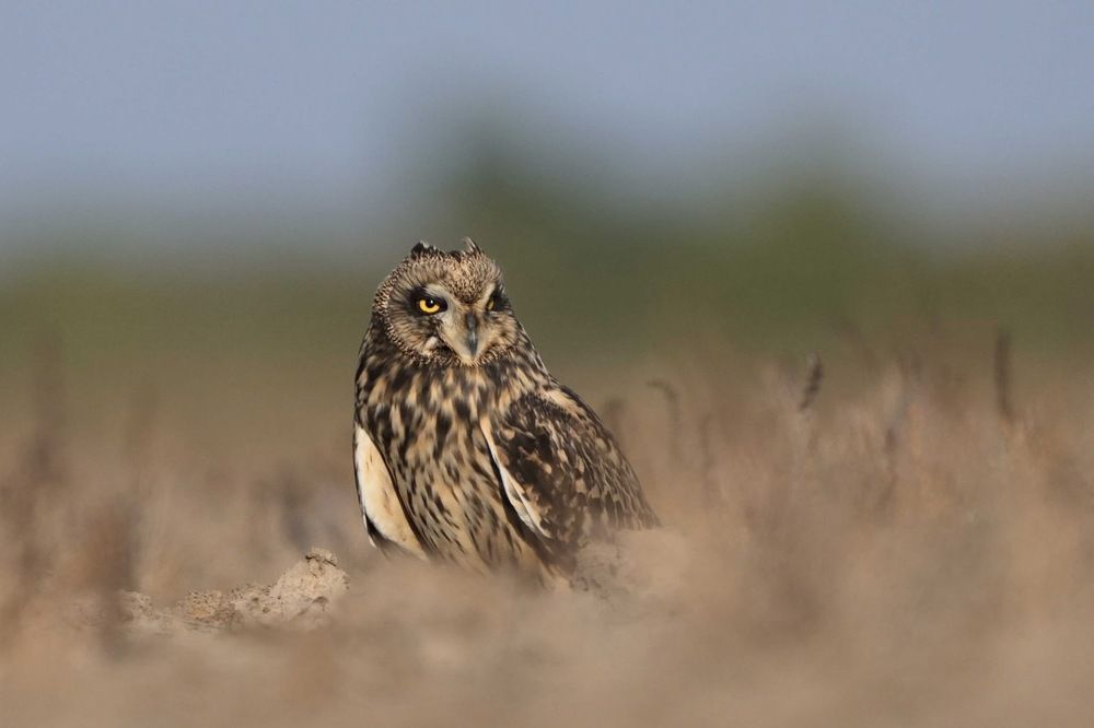 Photograph by Taraknath Karmakar