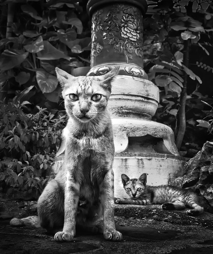 Фотография автора Дмитрий