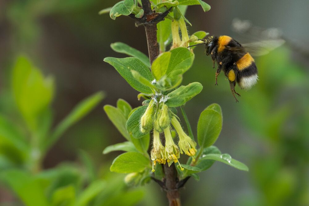 Photograph by Илья Горшенков