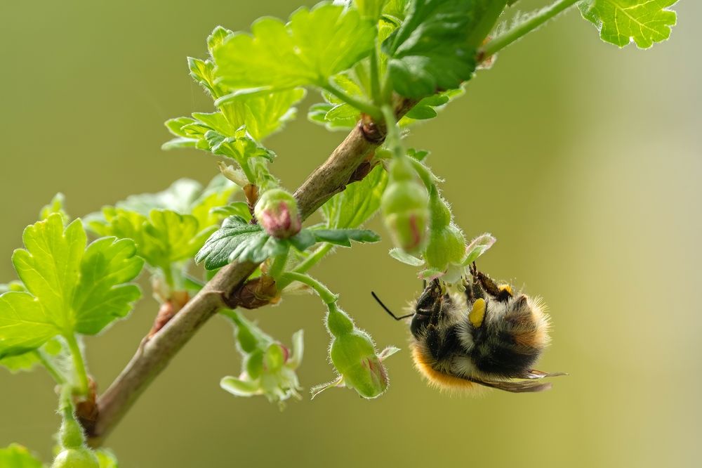 Photograph by Илья Горшенков