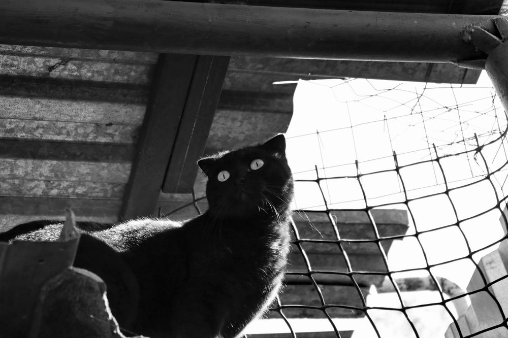 Photograph by Вакулина Марина