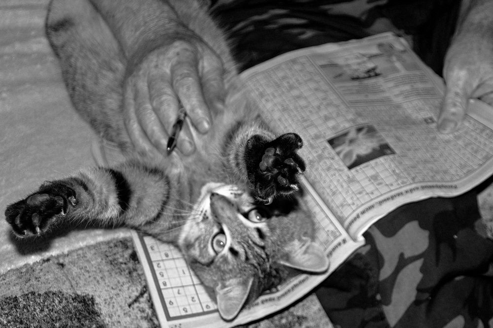 Photograph by Вакулина Марина