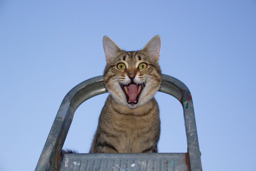 Photograph by Вакулина Марина