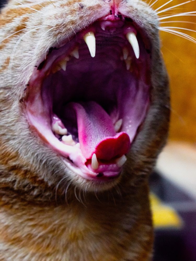 Photograph by Aadarsh choudhary