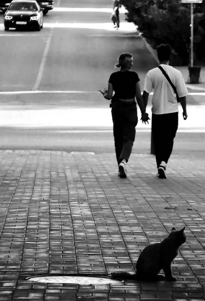 Photograph by Вакулина Марина