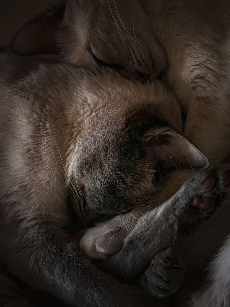 Photograph by Елена Башмакова