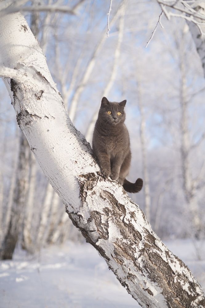 Photograph by Анастасия Позинич