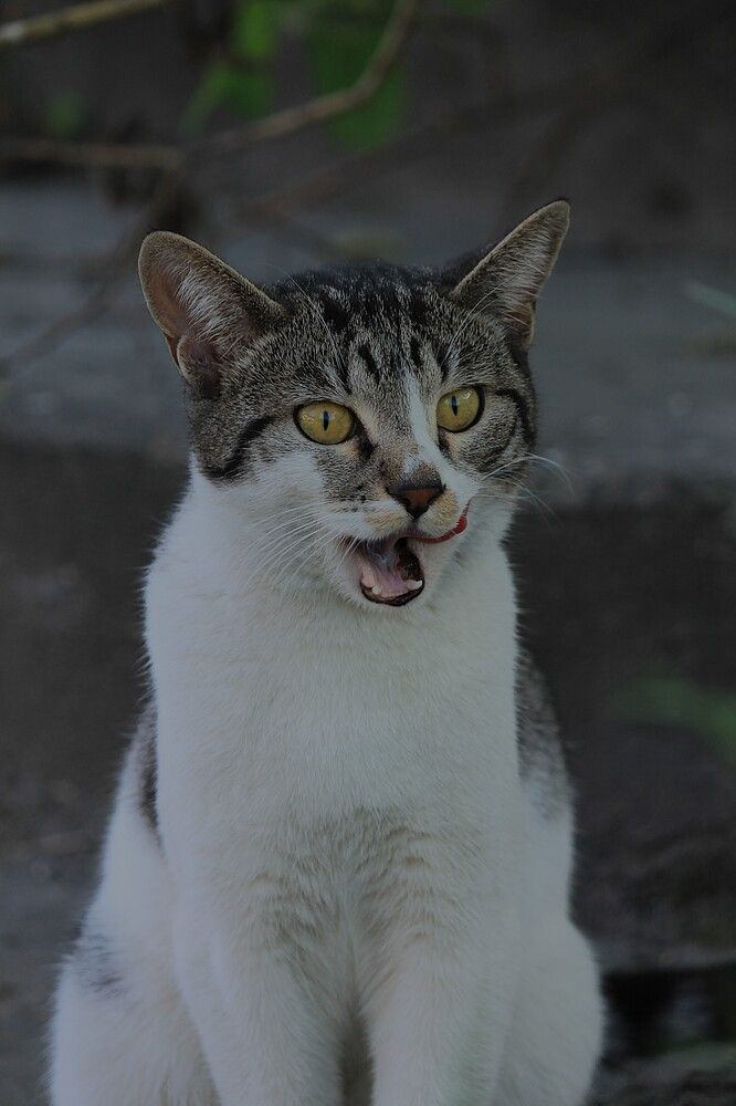 Photograph by Дмитрий