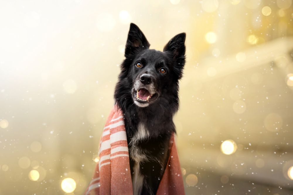 Photograph by Adéla Kovaříková