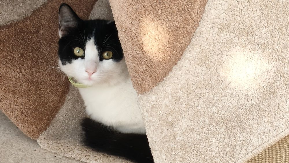 Photograph by Kaouche Mohamed