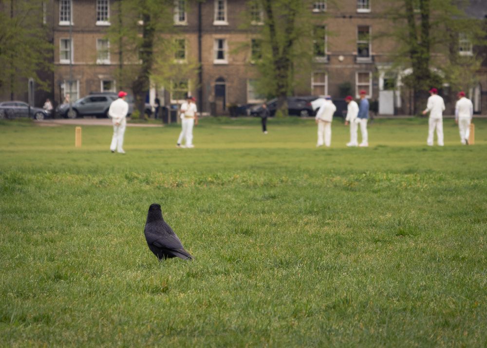 Photograph by Бочина Оксана