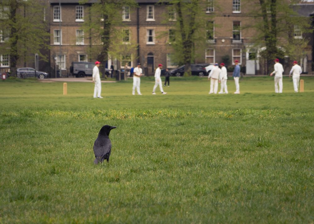 Photograph by Бочина Оксана