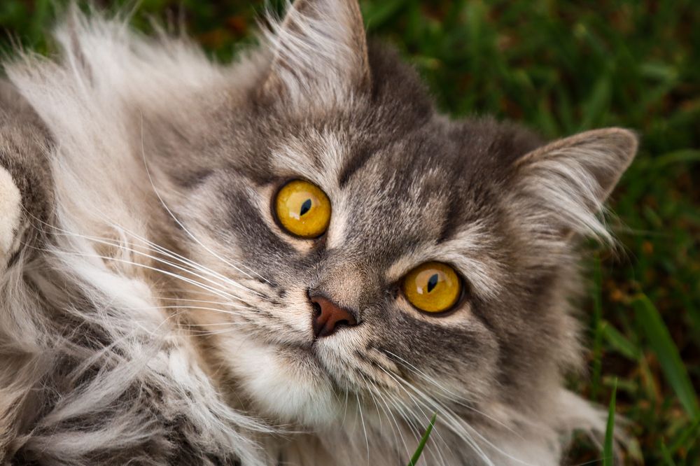 Photograph by Евгения