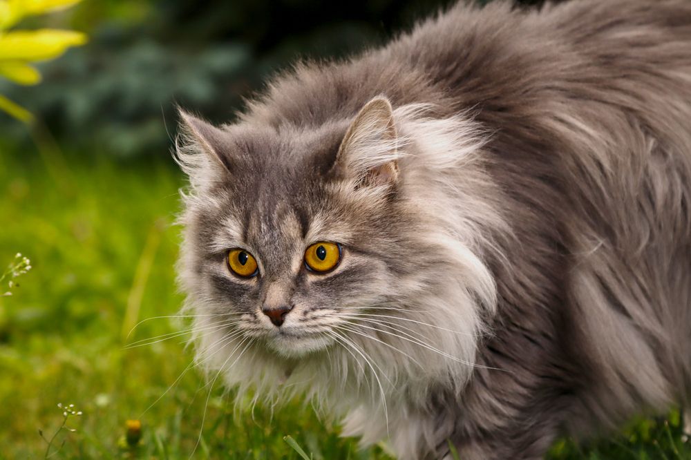 Photograph by Евгения