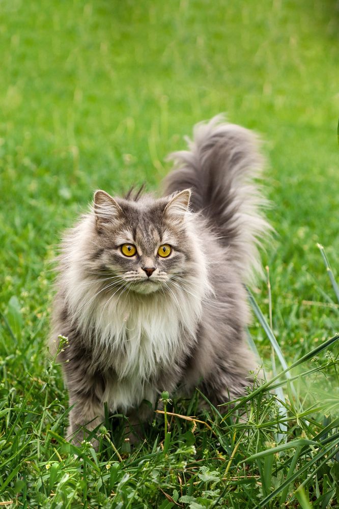 Photograph by Евгения