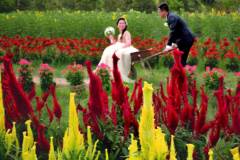 Photograph by Vy Van Bui