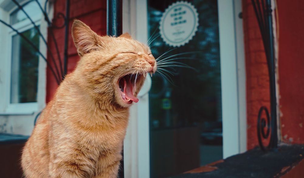 Photograph by Мария Никольская