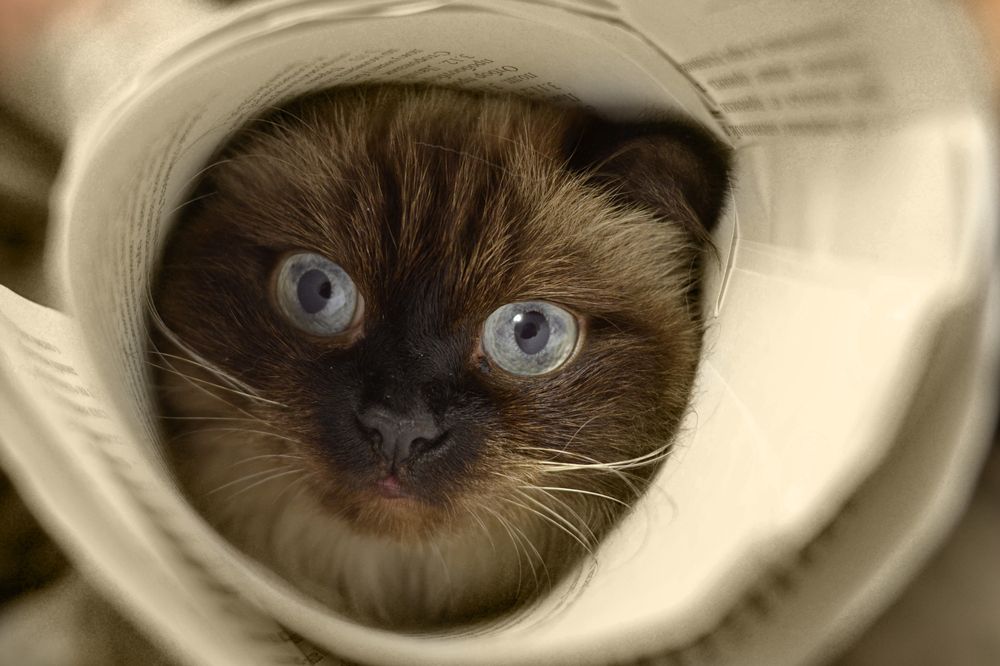 Photograph by Юлия Гетманская