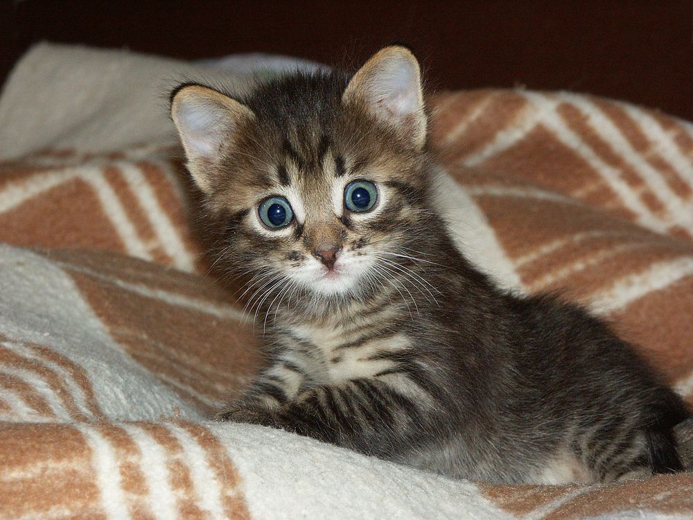 Photo #12244467