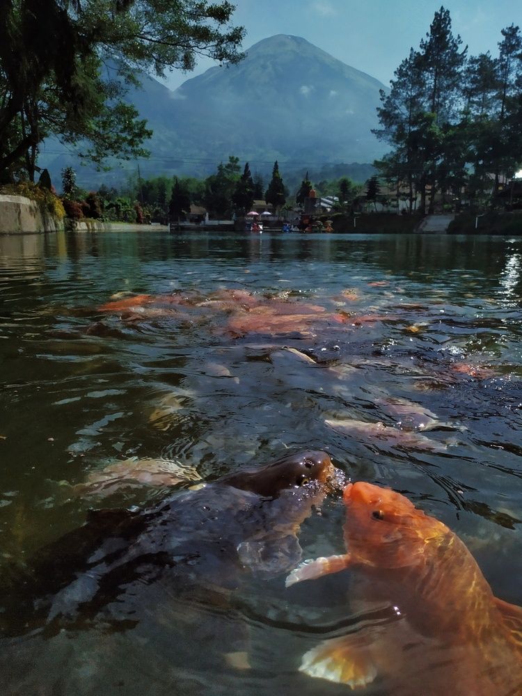 Photograph by Dede Deka