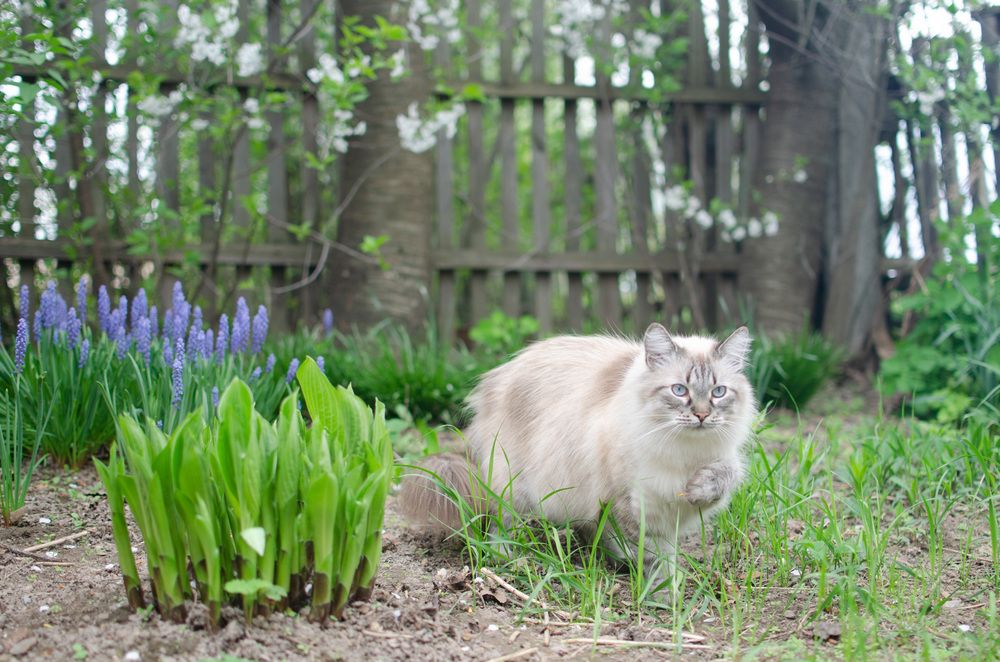 Фотография автора Ольга Жлоба