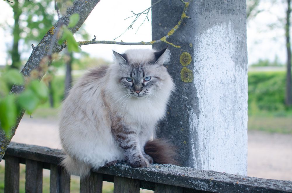 Фотография автора Ольга Жлоба