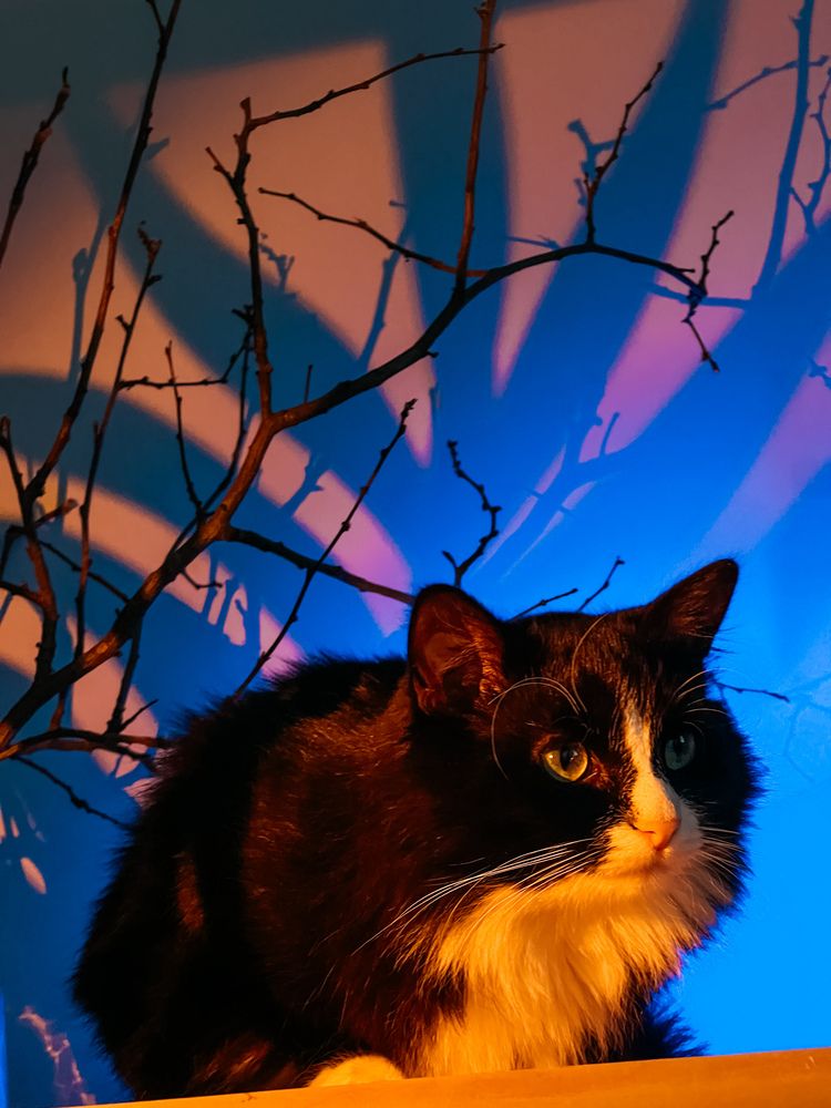 Фотография автора Татьяна Драгунова