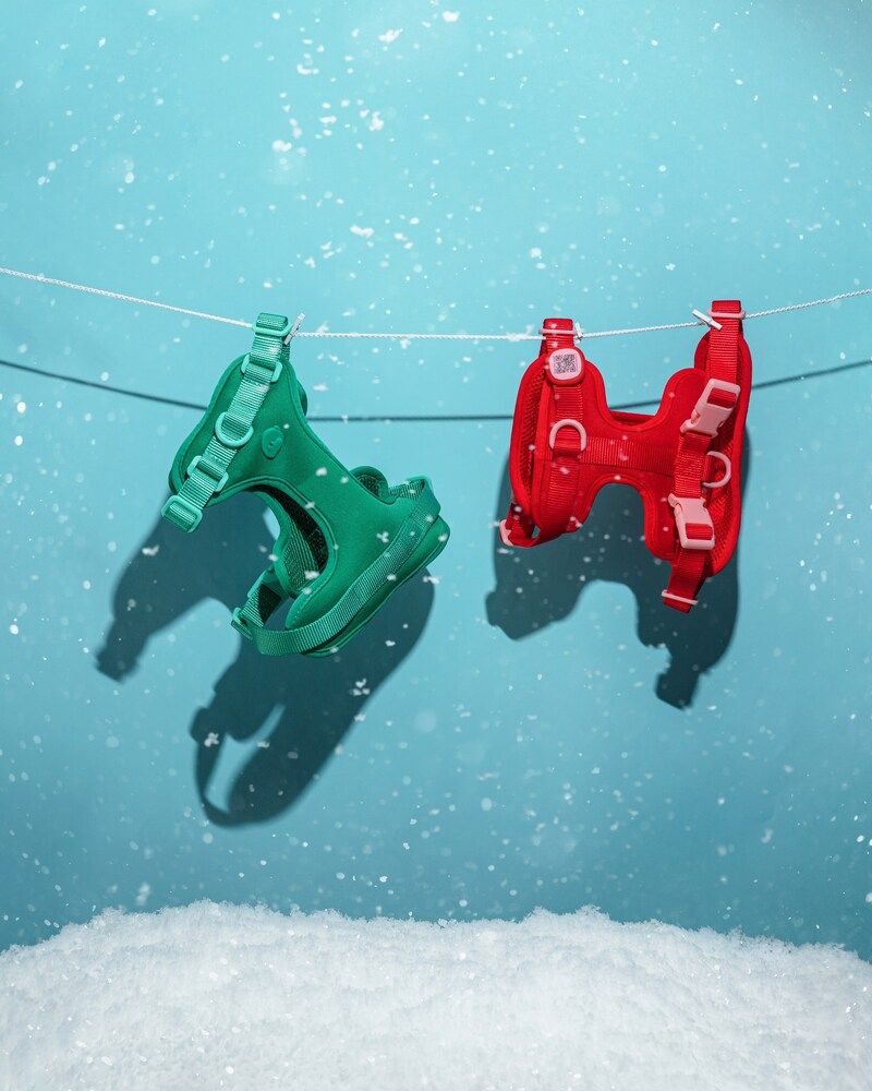 Фотография автора Татьяна Драгунова