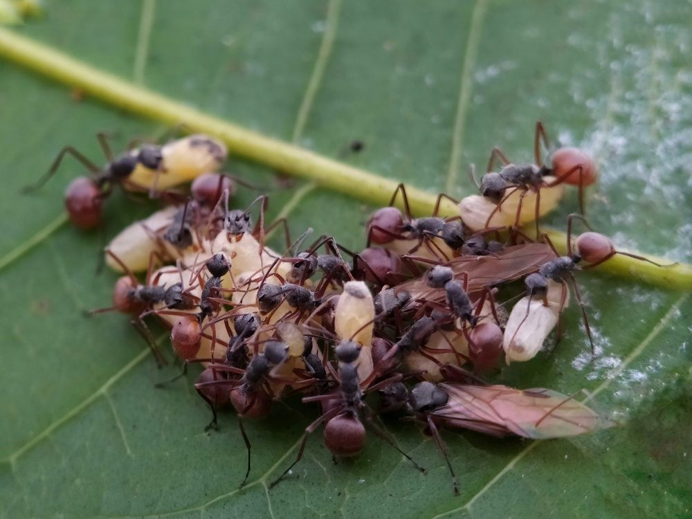 Фотография автора D Deka