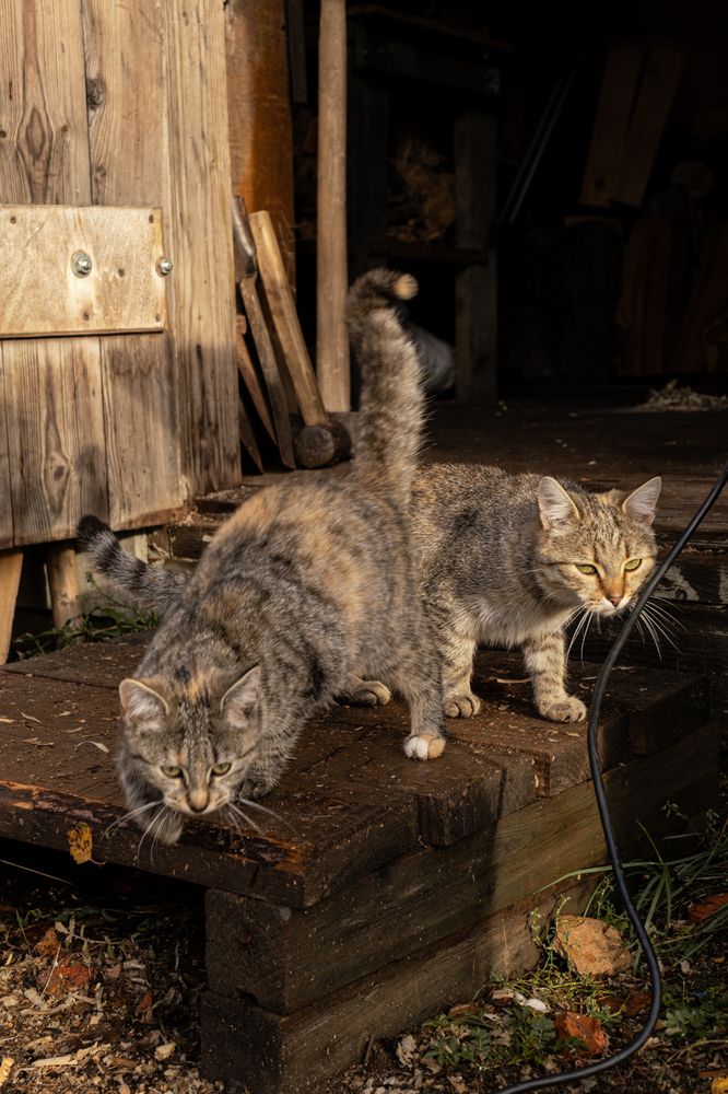 Photograph by Anastasia Vladimirovna