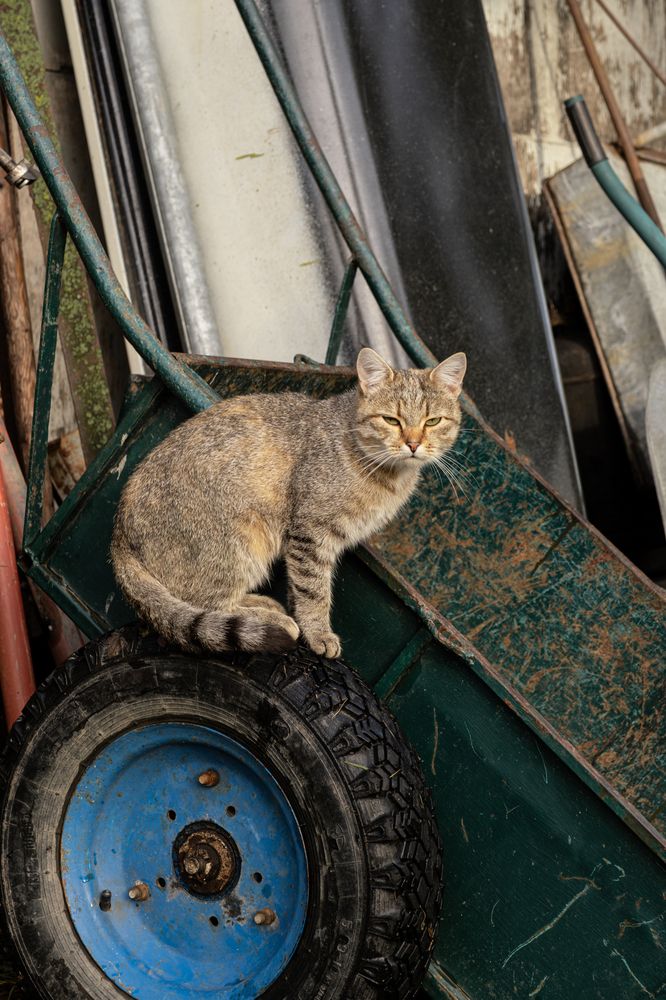 Photograph by Anastasia Vladimirovna